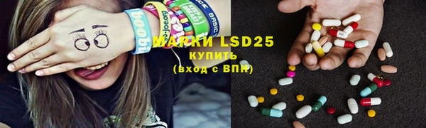 прущие грибы Абинск