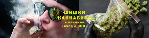 хмурый Сатка