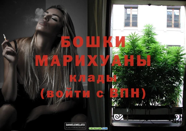 хмурый Сатка