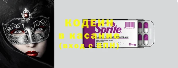 прущие грибы Абинск