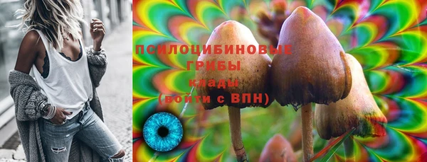 прущие грибы Абинск