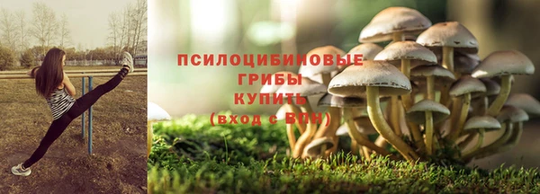 бутират Алексеевка