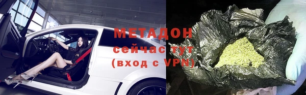 прущие грибы Абинск