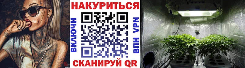 где найти наркотики  Донецк  Бошки Шишки THC 21% 